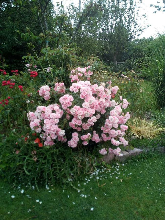 Chez Catherine - Chaumiere Normande Theuville-aux-Maillots Zewnętrze zdjęcie